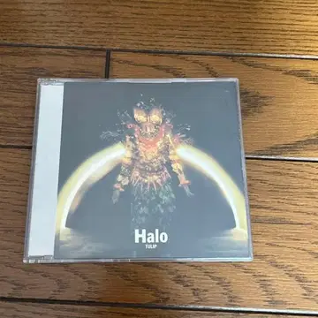 튤립 Halo 헤이로우 음장 COOLPRICE반 자이츠 카즈오