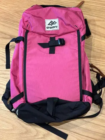 GREGORY nonnative COMPASS30 컴패스 30 핑크