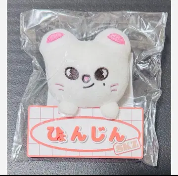 straykids 스키즈 현진 지니렛 백참 네임