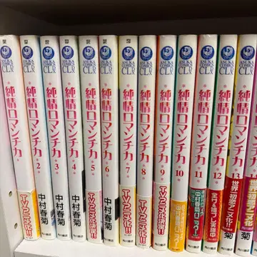 순정 로맨티카 1~25권 및 27권