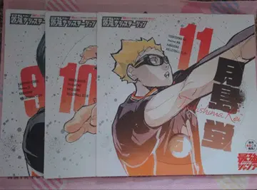 하이큐!! 히나타 카게야마 츠키시마