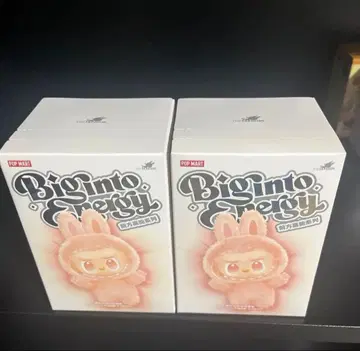 Labubu Big into Energy 라부부 에너지 2피스