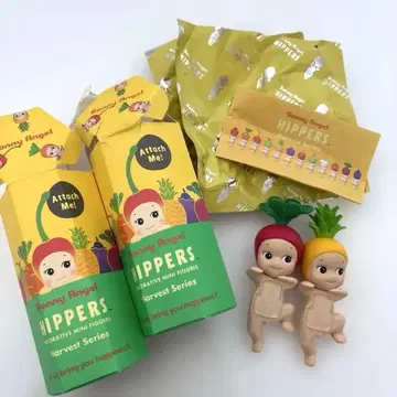 소니 엔젤 히퍼스 파인애플 래디쉬