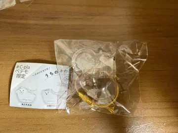 우리 집 강아지 털뭉치 블랙 시바