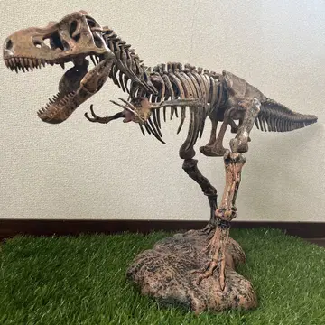 공룡 모형 Tyrannosaurus Rex 골격 모형 91cm