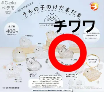 치와와 우리 아이 털뭉치 가챠 강아지 정품