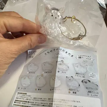 우리 집 강아지 털뭉치 치와와 (화이트) 한정판 아트