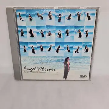 안리 Angel Whisper ANRI Hawaii 콘서트