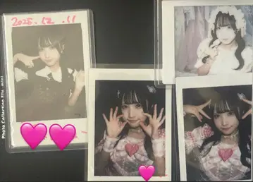 사랑 봄 네네 폴라로이드