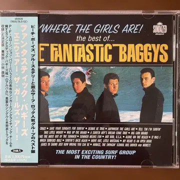 THE FANTASTIC BAGGYS 베스트 앨범