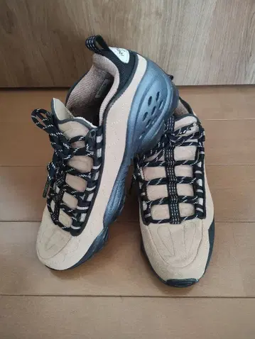 Reebok CLASSIC DMX RUN 10 KICKS 26cm