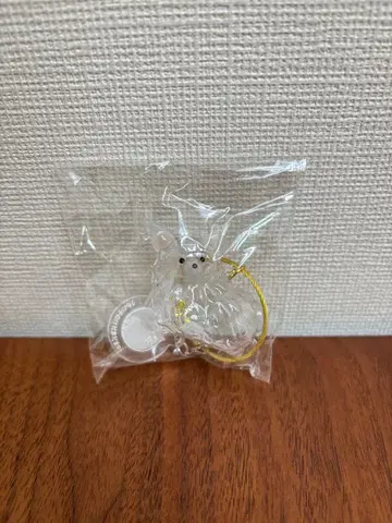 우리 아이 털뭉치 치와와 화이트