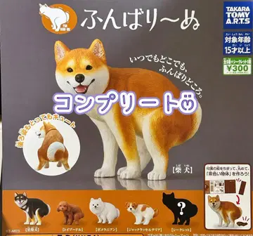 [컴플리트 시크릿 포함] 웅크리기 인형 가챠 개 웅크리기 인형