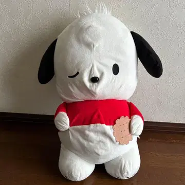 산리오 포차코 만푸쿠! 골아떨어짐 초초 BIG DX 봉제 인형 ~비스킷~