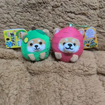 여행하는 마메시바 스다치 나루토금시