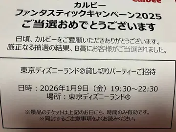 디즈니랜드 대절 2인분