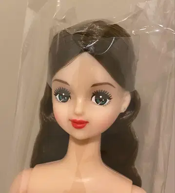 리카짱 캐슬 즐거운 인형 제니 프렌드 H 나나코 J 프렌드 H