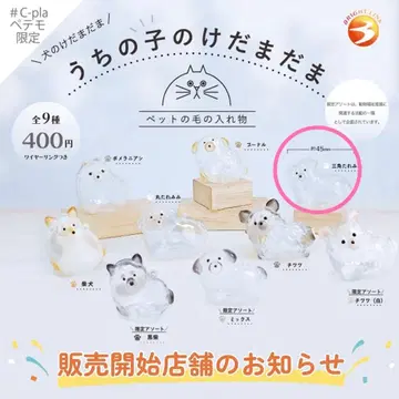 우리 집 강아지 털뭉치 세모 늘어진 귀