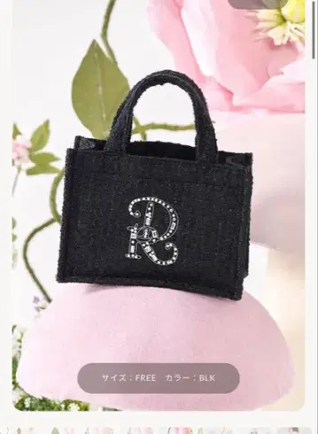 DR 비쥬 미니 토트백 BLK