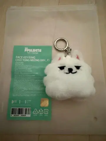 페이스 키링 최용명