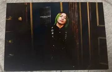 야마모토 쇼고 타워 레코드 패널