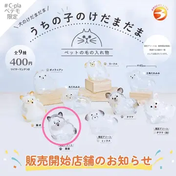 우리 집 강아지 털뭉치 페테모 한정판 모듬 블랙 시바