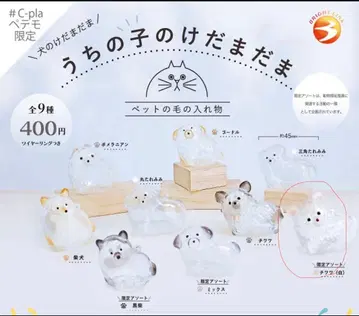 우리 집 반려동물 털뭉치 치와와(화이트) #C-pla 페테모 한정판