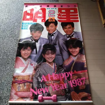 [ 명성 판촉용 태피스트리 ]