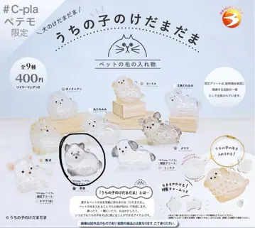 우리 아이 털뭉치 강아지 페테모 한정판 블랙 시바