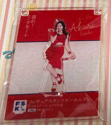 [미개봉 새상품] 블리스터 팩 풍 키링 엔도 아카리