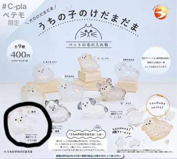 우리 집 반려동물 털뭉치 강아지 치와와 화이트 페테모 한정판