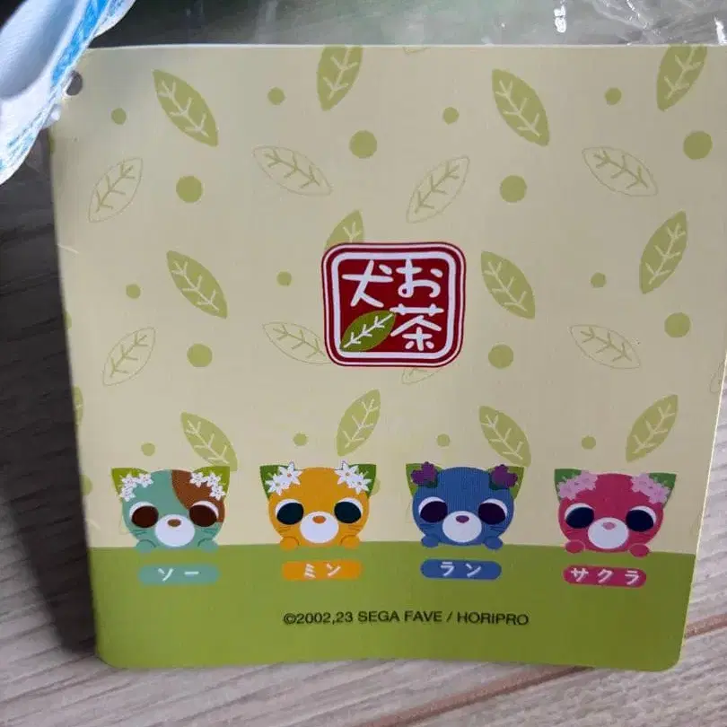 6번째 상품 이미지