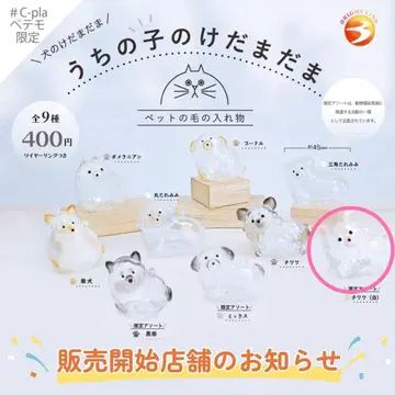 우리 아이 강아지 털뭉치 페테모 한정판 모듬 치와와(화이트)