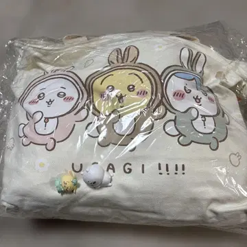 치이카와 해피백 2023년