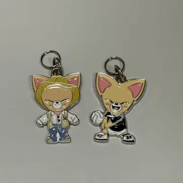 straykids 아이엔 skzoo Foxl.Ny 키 참