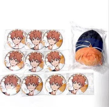 하이큐 히나타 쇼요 극락탕 모찌코로링 캔뱃지