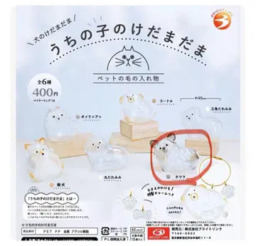 우리 집 강아지 털뭉치 블랙 치와와