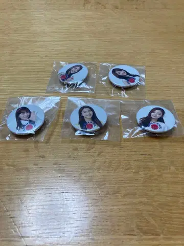 KARA 캔뱃지 5개 세트