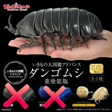 생물대도감 어드밴스 알비노 쥐며느리 온라인 한정판 중도장판