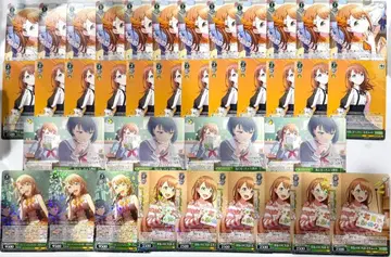 프로세카 바이스 슈바르츠 하나사토 미노리 RR