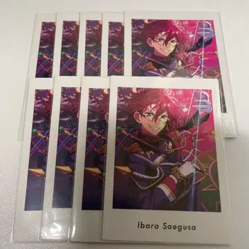 앙스타 파샤츠 6A 이바라 Eden 9장 세트