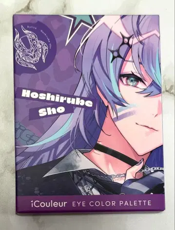 니지산지 iCouleur 호시미치 쇼 아이섀도우