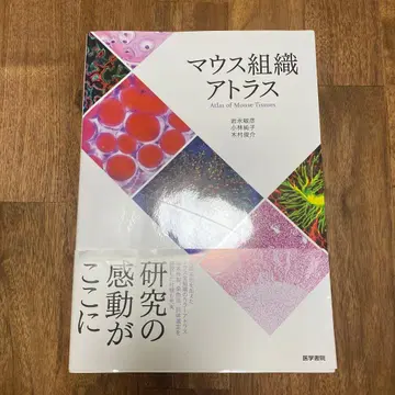 마우스 조직 아틀라스