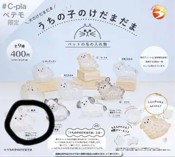 우리 집 반려동물 털뭉치 강아지 치와와 화이트 페테모 한정판