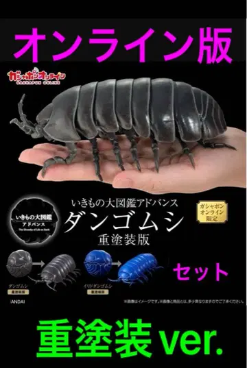 공벌레 중 페인팅판 온라인판 생물대도감 어드밴스 블랙 블루 세트