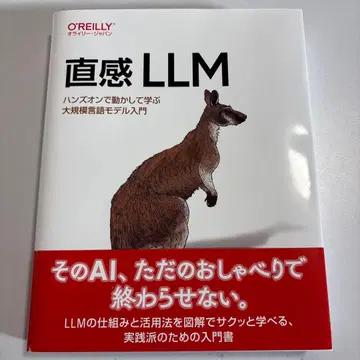 직관 LLM : 핸즈온으로 움직여 배우는 대규모 언어 모델 입문