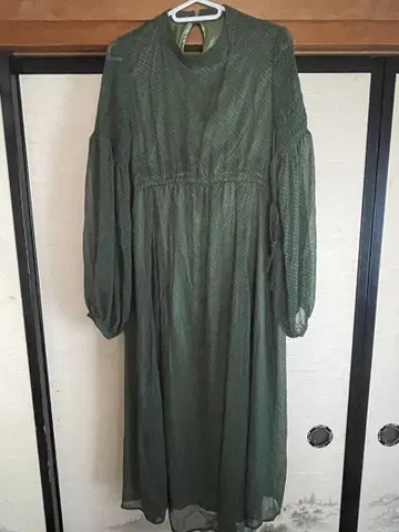 그린 쉬폰 롱 원피스 F 사이즈