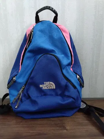 THE NORTH FACE 백팩 파랑 핑크