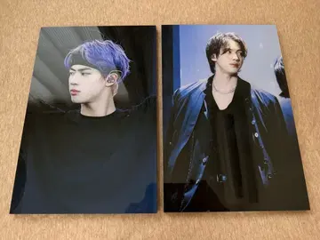 BTS 진 패널 세트