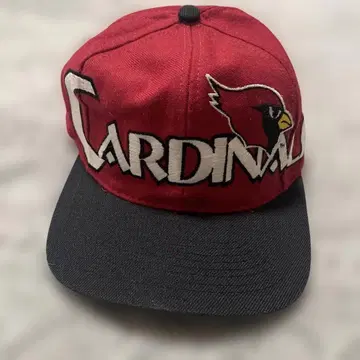 Arizona Cardinals 자수 캡